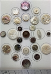 Shell Buttons
