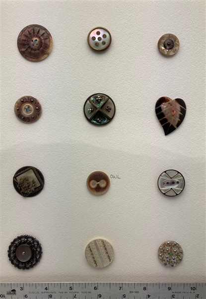 Pretty Shell Buttons