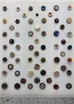 Small Shell Buttons