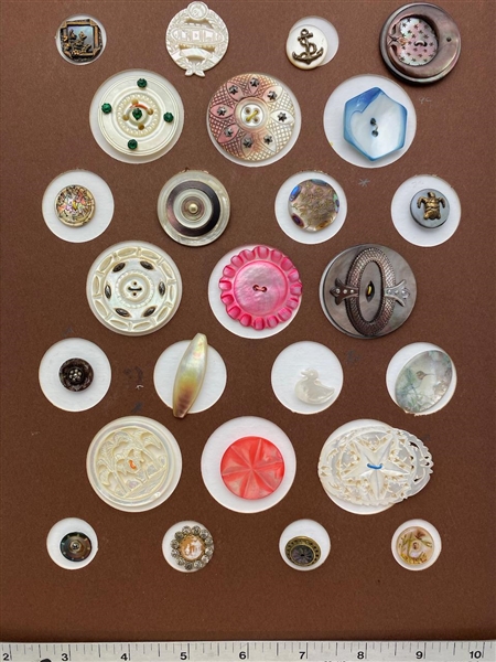 Shell Buttons