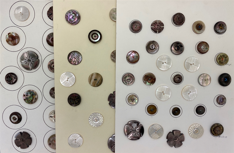 Shell Buttons