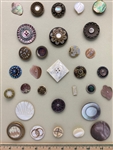 Shell Buttons