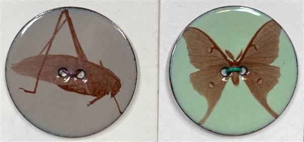 Enamel Insects Buttons