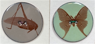 Enamel Insects Buttons