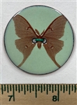 Enamel Insects Buttons