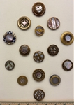 Shell in Metal Buttons