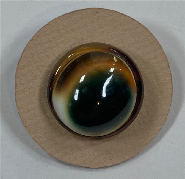 Operculum Button