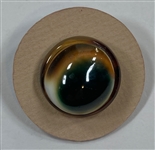 Operculum Button