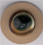 Operculum Button