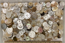 Shell Buttons