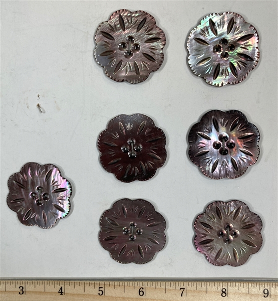 Large Carved Shell Buttons