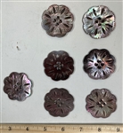 Large Carved Shell Buttons