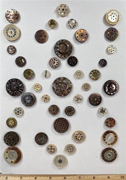 Shell Buttons