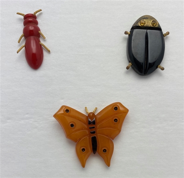 Insect Buttons