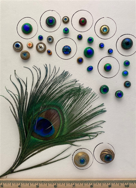 Peacock Eye Buttons