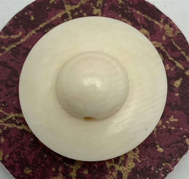 Igloo Button