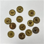 Jacksonian Cousin Buttons