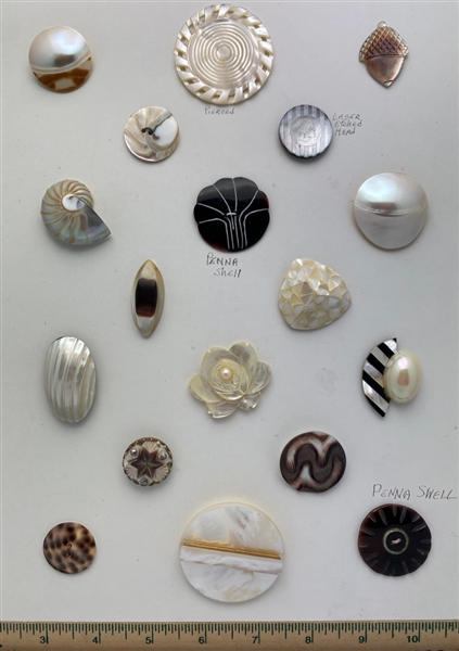 Shell Buttons