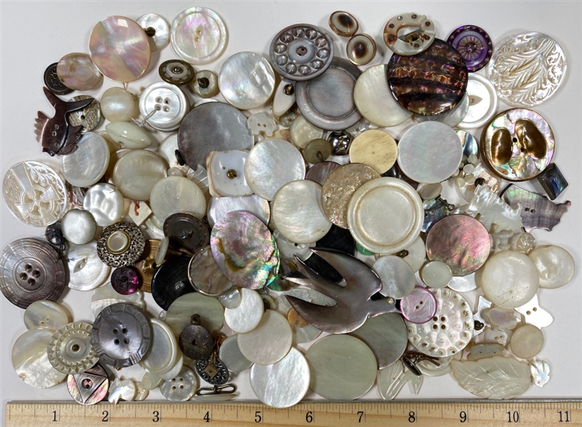 Shell Buttons