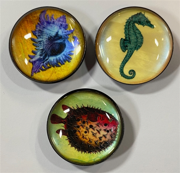 NERBA 2013 Show Buttons