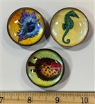 NERBA 2013 Show Buttons