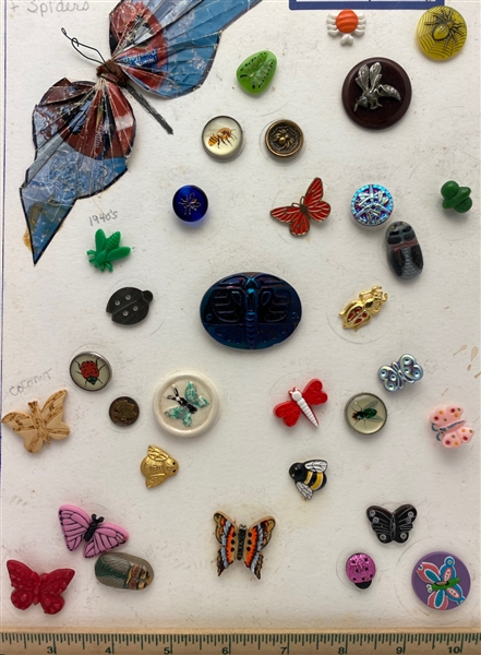 Insect Buttons