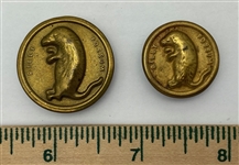 Billy Possum Buttons