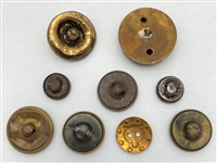 Roosevelt/Bear Buttons