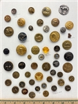 Critter Buttons