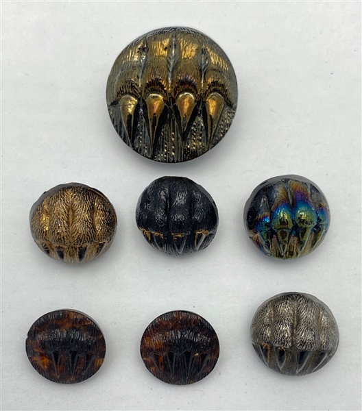 Bear Claw Buttons