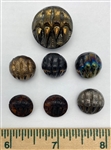 Bear Claw Buttons