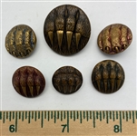 Bear Claw Buttons