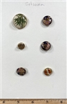 Plant Life Buttons