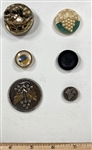 Plant Life Buttons