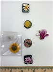 Arita Buttons