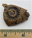 Ceramic Head Button