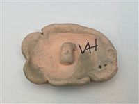 Hranovska Button