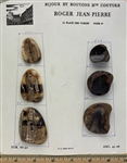 Sample Cards