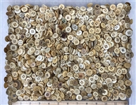 4-Hole Bone Buttons