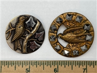 Bird Buttons
