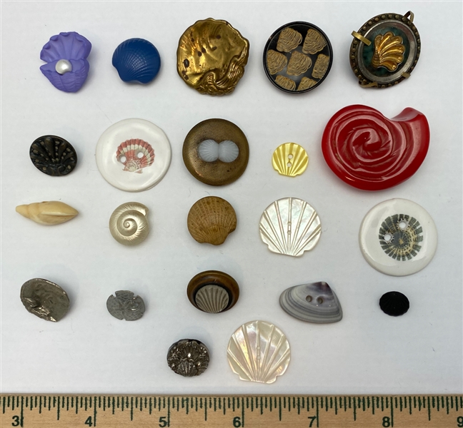 Seashell Buttons
