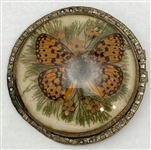 Butterfly Buckle