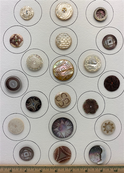 Shell Buttons