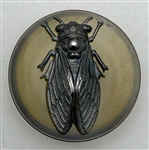 Insect Button
