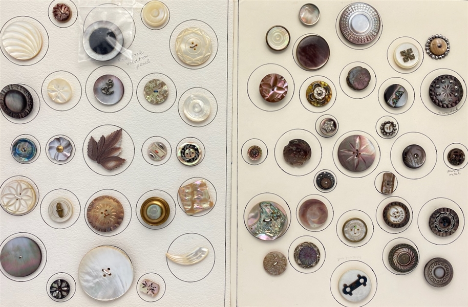 Shell Buttons