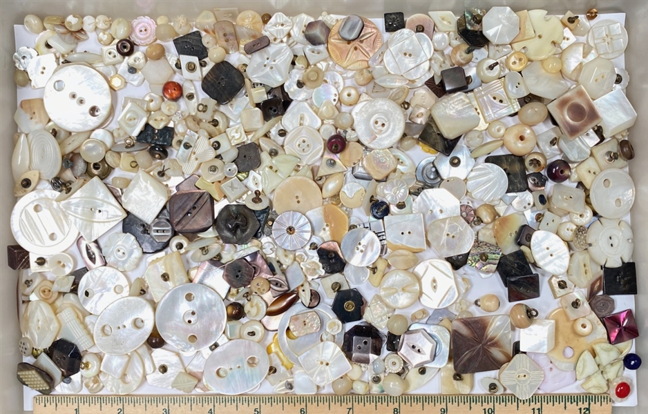 Shell Buttons