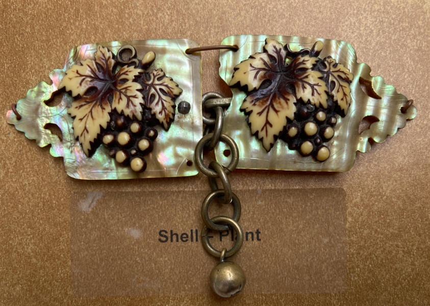 Shell & Ivoroid Buckle