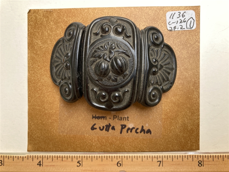 Gutta Percha Buckle