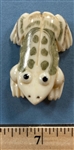 Bone Frog