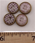 Rimmed Calicos